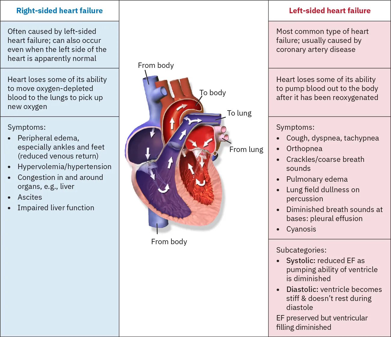 A table showing a heart and some of its movements in the center. On the left side it shows right-sided heart failure information, and on the right side it shows left-sided heart failure information.
