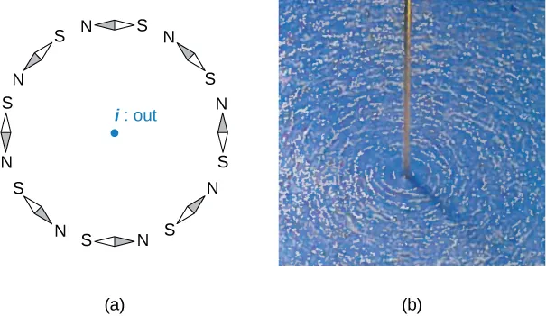 Figure A shows a circle formed by the small compass needles aligned with Earth’s magnetic field. Figure B shows that iron filings sprinkled on a horizontal surface around a long wire delineate the field lines.