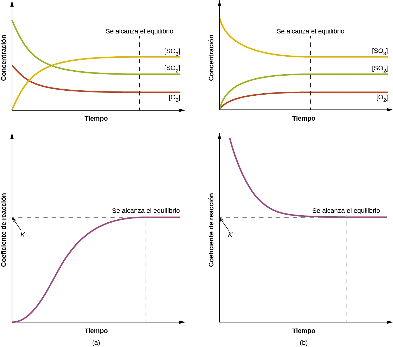 Se muestran cuatro gráficos etiquetados como "a", "b", "c" y "d". Los cuatro gráficos tienen una línea punteada vertical que pasa por el medio etiquetada como "Se alcanza el equilibrio". El eje y del gráfico a está etiquetado como "Concentración" y el eje x como "Tiempo". En el gráfico a se trazan tres curvas. La primera está etiquetada como "[ S O subíndice 2 ]"; esta línea comienza en lo alto del eje y, baja hasta la mitad de este eje, tiene una pendiente inicial pronunciada y una pendiente más gradual a medida que se acerca al extremo derecho del eje x. La segunda curva de este gráfico está etiquetada como "[ O subíndice 2 ]"; esta línea imita a la primera, excepto que comienza y termina aproximadamente un cincuenta por ciento más abajo en el eje y. La tercera curva es la inversa de la primera en forma y está etiquetada como "[ S O subíndice 3 ]". El eje y del gráfico b está etiquetado como "Concentración" y el eje x como "Tiempo". En el gráfico b se trazan tres curvas. La primera está etiquetada como "[ S O subíndice 2 ]"; esta línea comienza en lo bajo del eje y, sube hasta la mitad de este eje, tiene una pendiente inicial pronunciada y una pendiente más gradual a medida que se acerca al extremo derecho del eje x. La segunda curva de este gráfico está etiquetada como "[ O subíndice 2 ]"; esta línea imita a la primera, excepto que termina aproximadamente un cincuenta por ciento más abajo en el eje y. La tercera curva es la inversa de la primera en forma y está marcada, "[ S O subíndice 3 ]". El eje y del gráfico c está etiquetado como "Cociente de reacción" y el eje x como "Tiempo". En el gráfico c se traza una única curva. Esta curva comienza en la parte inferior del eje y y sube de forma pronunciada cerca de la parte superior de este eje, para luego nivelarse en una línea horizontal. El punto superior de esta línea está etiquetado como "k". El eje y del gráfico d está etiquetado como "Cociente de reacción" y el eje x como "Tiempo". En el gráfico d se traza una única curva. Esta curva comienza cerca del borde de la parte superior del eje y y cae abruptamente hacia el eje x, luego se nivela en una línea horizontal. El punto inferior de esta línea está etiquetado como "k".