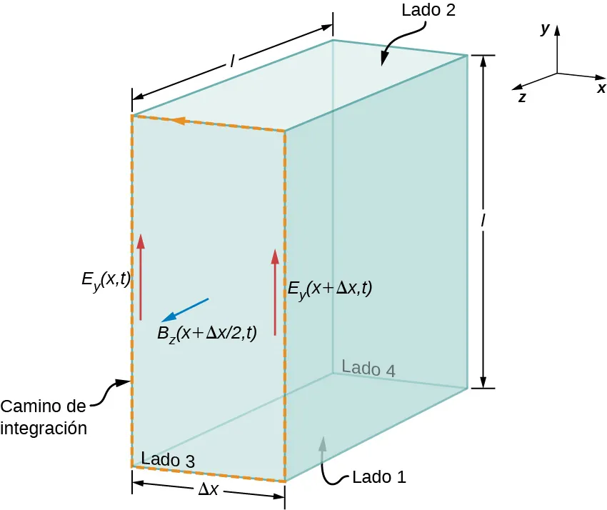 La figura muestra una caja rectangular de dimensiones l por l por delta x. Los lados superior e inferior, paralelos al plano xz, están marcados como lado 2 y lado 1, respectivamente. Los lados anterior y posterior, paralelos al plano xy se marcan lado 3 y lado 4 respectivamente. El límite del lado 3 está marcado como camino de integración. Dos flechas a lo largo del lado 3, apuntando hacia arriba en la dirección y positiva están marcadas E subíndice y paréntesis x, t paréntesis y E subíndice y paréntesis x más delta x, t paréntesis. Una flecha en el lado izquierdo de la caja, apuntando en la dirección z positiva está marcada B subíndice z paréntesis x más delta x por 2, t paréntesis.