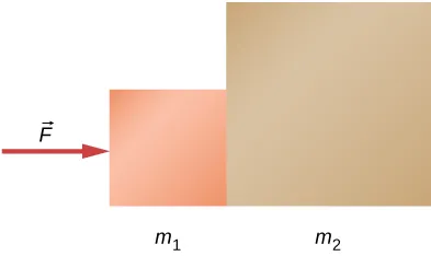 Pokazane są dwie kwadratowe ściany jedna przy drugiej side by side, dotykające się ze sobą. Lewa jest mniejsza i oznaczona m1. Druga po prawej jest większa i oznaczona m2. Siła F działa na mniejszą m1 od lewej ku prawej.