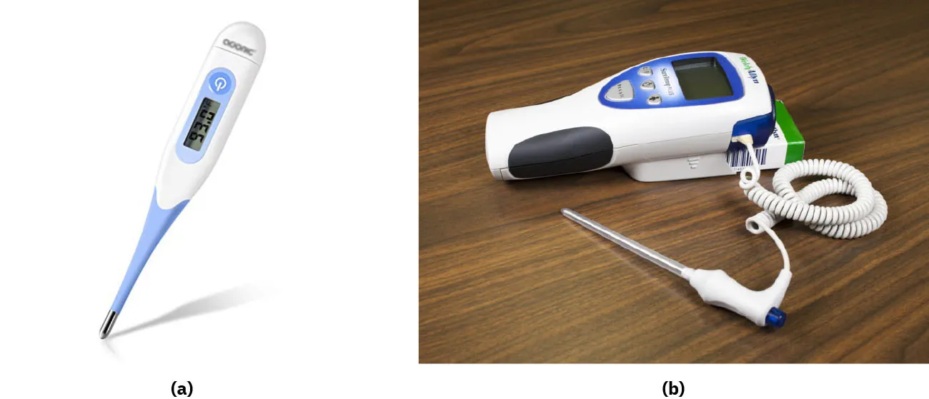 Two oral or axillary thermometers.
