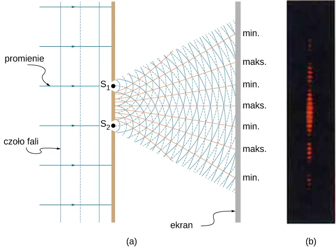 Lewy rysunek przedstawia schemat eksperymentu z dwiema szczelinami. Światło monochromatyczne wchodzi do dwóch szczelin S1 i S2. Po przejściu przez szczeliny światło rozprzestrzenia się, a fale interferują ze sobą zarówno konstruktywnie jak i destruktywnie. Prawy rysunek przedstawia obraz złożony z jasnych punktów, tworzących linię.