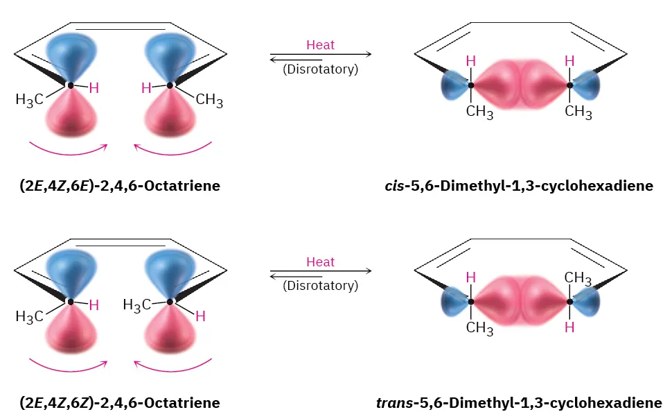 Two thermocyclizations. (2E,4Z,6E)-2,4,6-octatriene undergoes disrotatory movement with heat to form cis-5,6-dimethyl-1,3-cyclohexadiene. (2E,4Z,6Z)-2,4,6-octatriene undergoes disrotatory movement with heat to form trans-5,6-dimethyl-1,3-cyclohexadiene.