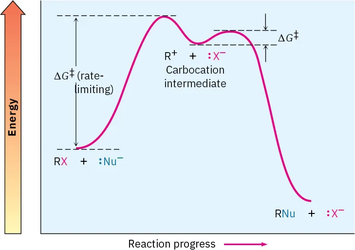 An energy diagram shows a large barrier to step 1 of S N 1 (forming carbocation) and small barrier to step 2 (quenching carbocation).
