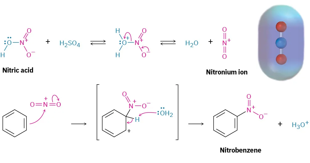 Nitric and sulfuric acids react to form water and nitronium ion. The latter reacts with benzene to form nitrobenzene and water. Ball-and-stick model in electrostatic potential map of nitronium ion is depicted.