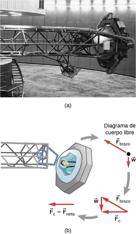 (a) Fotografía de una centrifugadora de entrenamiento de alta g. El astronauta se sienta en una jaula al final de un largo brazo que gira en un plano horizontal. (b) Ilustración de la vista superior de la centrifugadora junto con una ilustración de las fuerzas. El diagrama de cuerpo libre muestra el peso, w, que apunta verticalmente hacia abajo y la fuerza F sub brazo apunta hacia arriba y hacia la izquierda. A continuación, se muestran las fuerzas reordenadas para formar un triángulo rectángulo. F sub brazo es la hipotenusa del triángulo que apunta hacia arriba y hacia la izquierda, w es el lado vertical que apunta hacia abajo, y F sub c es la base que apunta hacia la izquierda. La flecha F sub c se muestra entonces por separado con la notación de que el vector F sub c es igual a F sub neta.