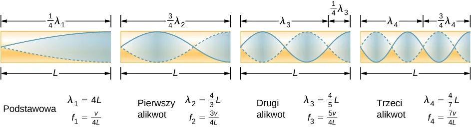 Rysunek przedstawia częstotliwość podstawową oraz trzy najniższe alikwoty dla rury jednostronnie zamkniętej. Częstotliwość podstawowa jest równa jednej czwartej długości fali w rurze. Pierwszy alikwot występuje przy trzech czwartych długości fali w rurze, drugi overtone – przy pięć czwartych długości fali w rurze, a trzeci overtone – przy siedmiu czwartych długości fali w rurze. Dla wszystkich maksymalne drgania powietrza występują przy otwartym końcu i brak drgań – przy zamkniętym końcu.