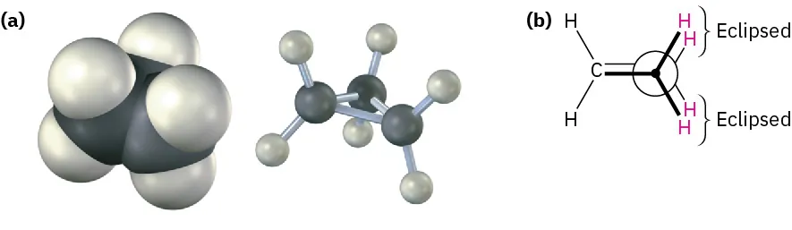 The space-filling, ball and stick model of cyclopropane in part A, and Newman projection of cyclopropane in part B along the C-C bond. The hydrogen atoms on one side are labeled eclipsed.