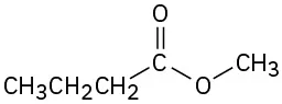 The structure of an ester comprises of a carbonyl group attached to a propyl chain on one side and an oxygen linked to a methyl group on the other side.