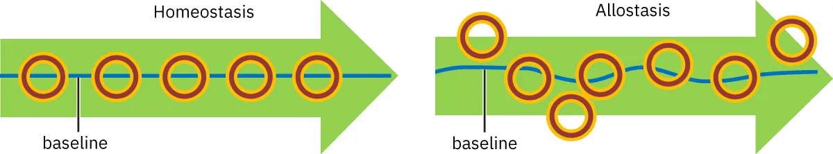 Illustration of two green arrows. Homeostasis arrow has orange circles in a neat row with baseline running through middle. Allostasis arrow has wavy baseline with orange circle scattered on and off line.