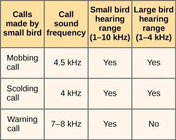 A table with the first column headed “Calls made by small bird.” Mobbing call has a call sound frequency of 4.5 kHz, small bird hearing range (1–10 kHz) “yes,” and large bird hearing range (1–4 kHz) “yes.” Scolding call has a call sound frequency of 4 kHz, small bird hearing range (1–10 kHz) “yes,” and large bird hearing range (1–4 kHz) “yes.” Warning call has a call sound frequency of 7–8 kHz, small bird hearing range (1–10 kHz) “yes,” and large bird hearing range (1–4 kHz) “no.”