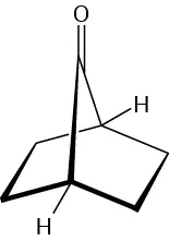 The structure of bicyclo[2.2.1]heptane with a  carbonyl group on C 7.