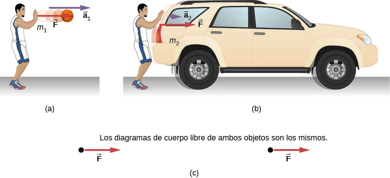 La Figura a muestra a una persona que ejerce una fuerza F sobre un balón de baloncesto con masa m1. Se muestra que el balón se mueve hacia la derecha con una aceleración a1. La Figura b muestra a la persona ejerciendo la misma cantidad de fuerza, F sobre un vehículo todoterreno con masa m2. La aceleración es a2, que es mucho menor que a1. La Figura c muestra los diagramas de cuerpo libre de los dos sistemas mostrados en la Figura a y la Figura b. Ambos muestran que la fuerza F tiene la misma magnitud y dirección. La marcación señala: los diagramas de cuerpo libre de ambos objetos son iguales.