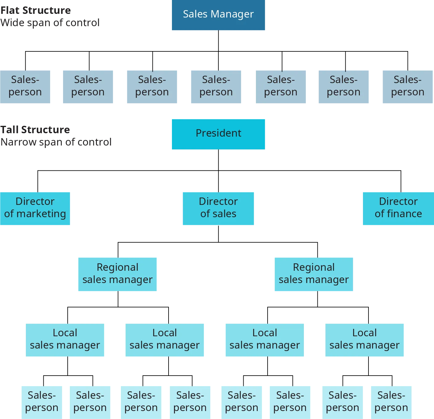 The flat structure has a wide span of control. The diagram is shown as a sales manager having lines extending down connecting to 7 separate sales people all along a horizontal plane. The tall structure has a narrow span of control. The president is at the top, with 3 lines extending down to 3 separate directors; the director of marketing, director of sales, and director of finance. A line extends down from director of sales to 2 separate regional sales managers. Lines extend down from each regional sales manager to 2 separate local sales managers. Lines extend down from each local sales manager to two separate salespersons.