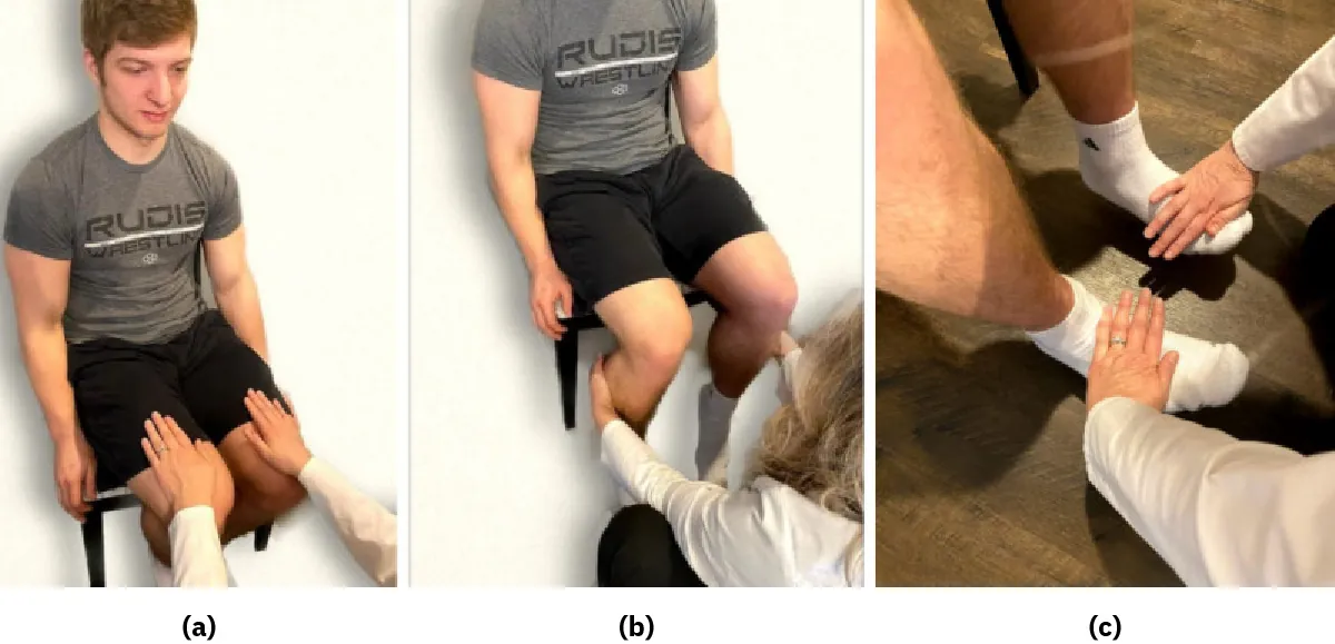 The image is a series of three photos of a young man seated, engaging in lower limb exercises with a therapist. In the first, the therapist stabilizes the patient's knee; in the second, the therapist assists with ankle mobilization; and in the third, they guide the patient through a foot strengthening exercise.