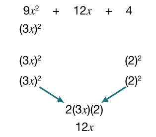 Mathematical breakdown of 9x squared + 12x + 4: (3x) squared + 2(3x)(2) + (2) squared, showing how the middle term, 12x, comes from 2(3x)(2); arrows point to the 12x term.