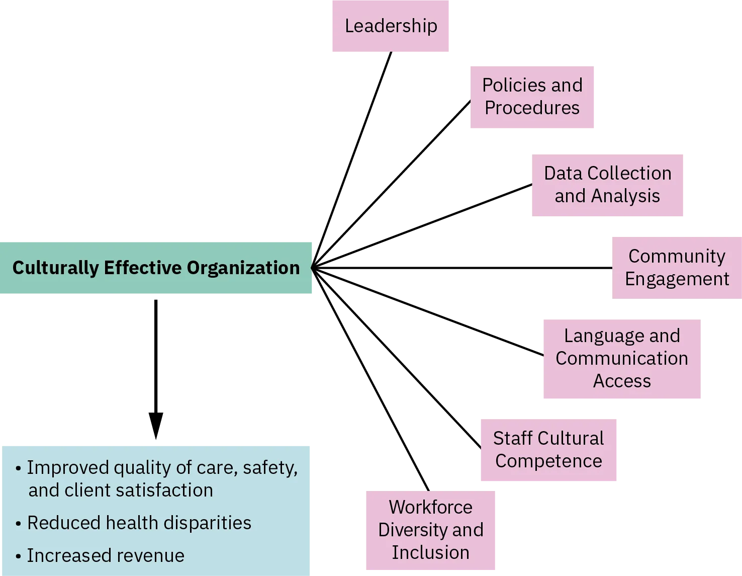A diagram shows the characteristics of a culturally effective organization, which include leadership, policies and procedures, data collection and analysis, community engagement, language and communication access, staff cultural competence, and workforce diversity and inclusion. Culturally effective organizations contribute to improved quality of care, safety, and client satisfaction; reduced health disparities; and increased revenue.