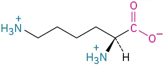 The structure of lysine. It has a carbon linked to four methylene groups linked to ammonia cation, carboxylate ion, dashed hydrogen, and wedged ammonia ion.