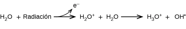 Esta imagen muestra una reacción. Comienza con H subíndice 2 O más radiación. Hay una flecha orientada hacia la derecha que apunta a H subíndice 2 O signo positivo más H subíndice 2 O. Desde la flecha, hay otra flecha que se curva hacia arriba y apunta a una e superíndice signo negativo. Después del segundo H subíndice 2 O hay otra flecha orientada a la derecha que señala el H subíndice 3 O superíndice signo positivo más O superíndice signo negativo.