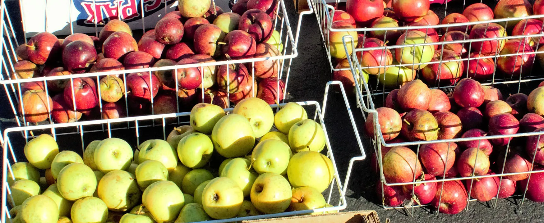a photograph of apples in different colors, separated into different baskets