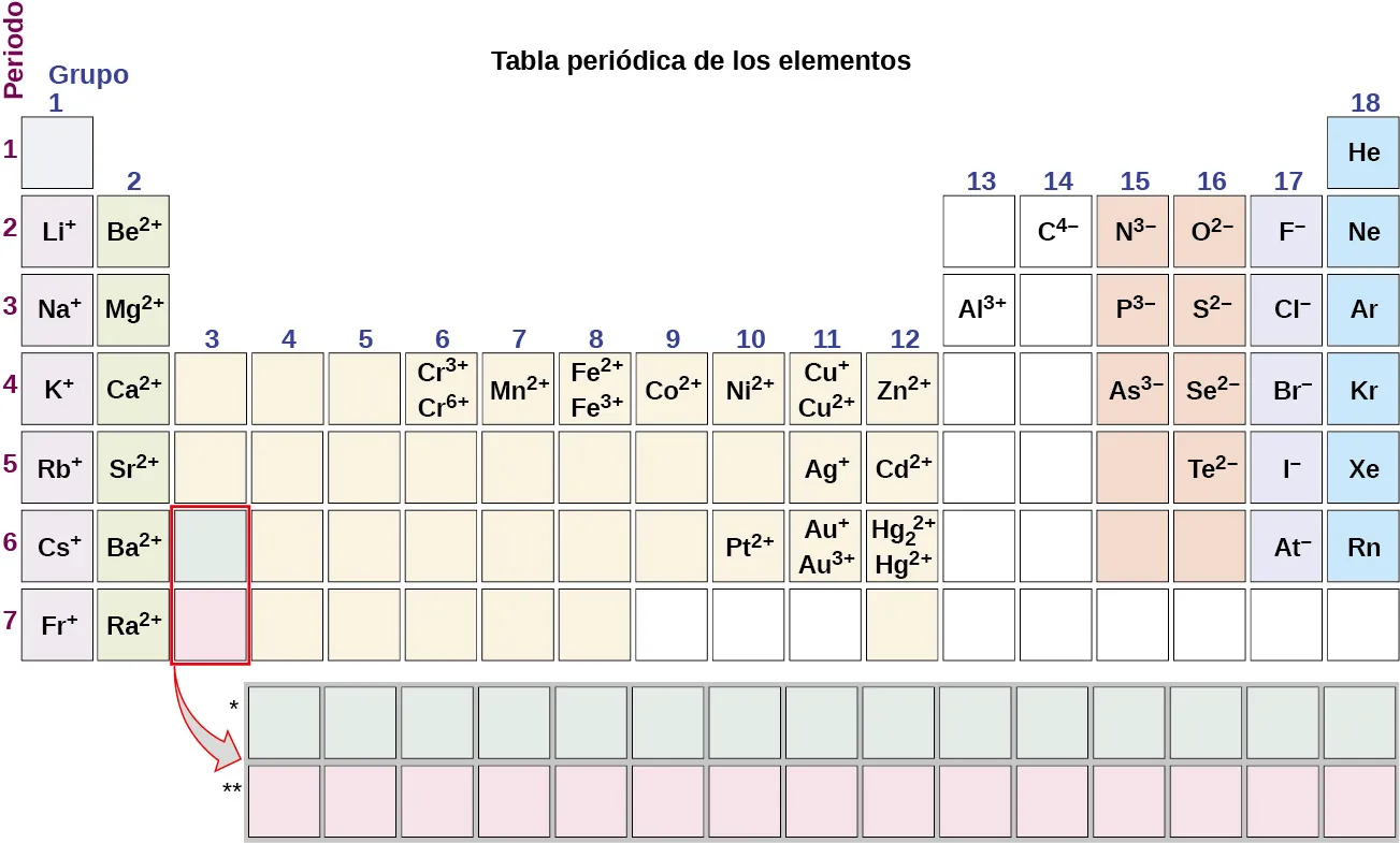 El grupo uno de la tabla periódica contiene a L i superíndice signo positivo en el periodo 2, N a superíndice signo positivo en el periodo 3, K superíndice signo positivo en el periodo 4, R b superíndice signo positivo en el periodo 5, C s superíndice signo positivo en el periodo 6 y F r superíndice signo positivo en el periodo 7. El grupo dos contiene B e superíndice 2 signo positivo en el periodo 2, M g superíndice 2 signo positivo en el periodo 3, C superíndice 2 signo positivo en el periodo 4, S r superíndice 2 signo positivo en el periodo 5, B a superíndice 2 signo positivo en el periodo 6 y R a superíndice 2 signo positivo en el periodo 7. El grupo seis contiene C r superíndice 3 signo positivo y el C r superíndice 6 signo positivo en el periodo 4. El grupo siete contiene M n superíndice 2 signo positivo en el periodo 4. El grupo ocho contiene F e superíndice 2 signo positivo y el F e superíndice 3 signo positivo en el periodo 4. El grupo nueve contiene C o superíndice 2 signo positivo en el periodo 4. El grupo diez contiene N i superíndice 2 signo positivo en el periodo 4, y P t superíndice 2 signo positivo en el periodo 6. El grupo 11 contiene C U superíndice signo positivo y C U superíndice 2 signo positivo en el periodo 4, A g superíndice signo positivo en el periodo 5, y A u superíndice signo positivo y A u superíndice 3 signo positivo el en el periodo 6. El grupo 12 contiene Z n superíndice 2 signo positivo en el periodo 4, C d superíndice 2 signo positivo en el periodo 5, y H g subíndice 2, superíndice 2 signo positivo y H g superíndice 2 signo positivo en el periodo 6. El grupo 13 contiene A l superíndice 3 signo positivo en el periodo 3. El grupo 14 contiene C 4 superíndice signo negativo en el periodo 2. El grupo 15 contiene N superíndice 3 signo negativo en el periodo 2, P superíndice 3 signo negativo en el periodo 3, y A s superíndice 3 signo negativo en el periodo 4. El grupo 16 contiene O superíndice 2 signo negativo en el periodo 2, S superíndice 2 signo negativo en el periodo 3, S e superíndice 2 signo negativo en el periodo 4 y T e superíndice 2 signo negativo en el periodo 5. El grupo 17 contiene F superíndice signo negativo en el periodo 2, C l superíndice signo negativo en el periodo 3, B r superíndice signo negativo en el periodo 4, I superíndice signo negativo en el periodo 5 y A t superíndice signo negativo en el periodo 6. El grupo 18 contiene H e en el periodo 1, N e en el periodo 2, A r en el periodo 3, K r en el periodo 4, X e en el periodo 5 y R n en el periodo 6.