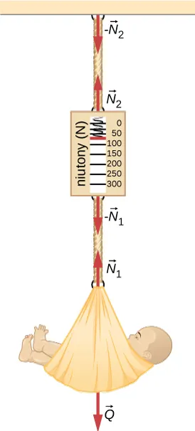 Rysunek przedstawia wagę do ważenia niemowlaków po urodzeniu. Układ składa się z koszyka, w którym umieszcza się dziecko oraz dynamometru przymocowanego do ściany. Siła N1 to siła naciągu działająca między koszykiem a dynamometrem, natomiast siła N2 to siła naciągu w elemencie mocującym dynamometr do sufitu.