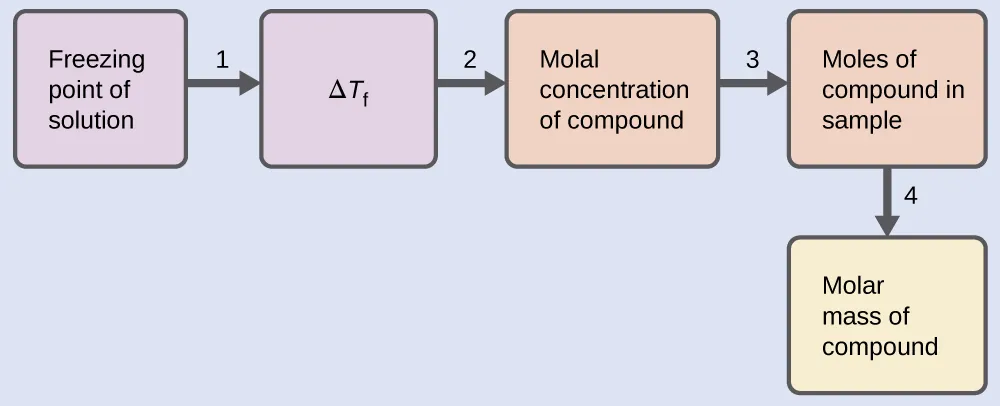 This is diagram with five boxes oriented horizontally and linked together with arrows numbered 1 to 4 pointing from each box in succession to the next one to the right. The first box is labeled, “Freezing point of solution.” Arrow 1 points from this box to a second box labeled, “delta T subscript f.” Arrow 2 points from this box to to a third box labeled “Molal concentration of compound.” Arrow labeled 3 points from this box to a fourth box labeled, “Moles of compound in sample.” Arrow 4 points to a fifth box labeled, “Molar mass of compound.”