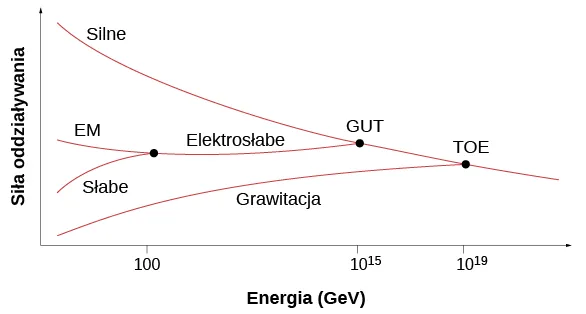 Rysunek ilustruje zależność wielkości albo siły oddziaływania w funkcji energii w jednostkach gigaelektronowolt. Od góry widzimy krzywą o dużym nachyleniu oznaczoną Silne, która łączy się z krzywą oznaczoną Elektrosłabe w punkcie GUT o energii 10 do potęgi 15. Krzywa Elektrosłabe powstała z połączenia w punkcie o energii 100 dwóch krzywych położonych poniżej krzywej Silne: pierwszej rosnącej oznaczonej Słabe i drugiej malejącej oznaczonej EM. Od samego dołu rośnie krzywa Grawitacja, która łączy się z krzywą biegnącą od punktu GUT w punkcie oznaczonym ToE przy energii 10 do potęgi 19.