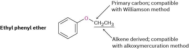 The structure of ethyl phenyl ether where C H 2 is labeled primary carbon, compatible with Williamson method, and ethyl group is labeled alkene-derived, compatible with alkoxymercuration method.