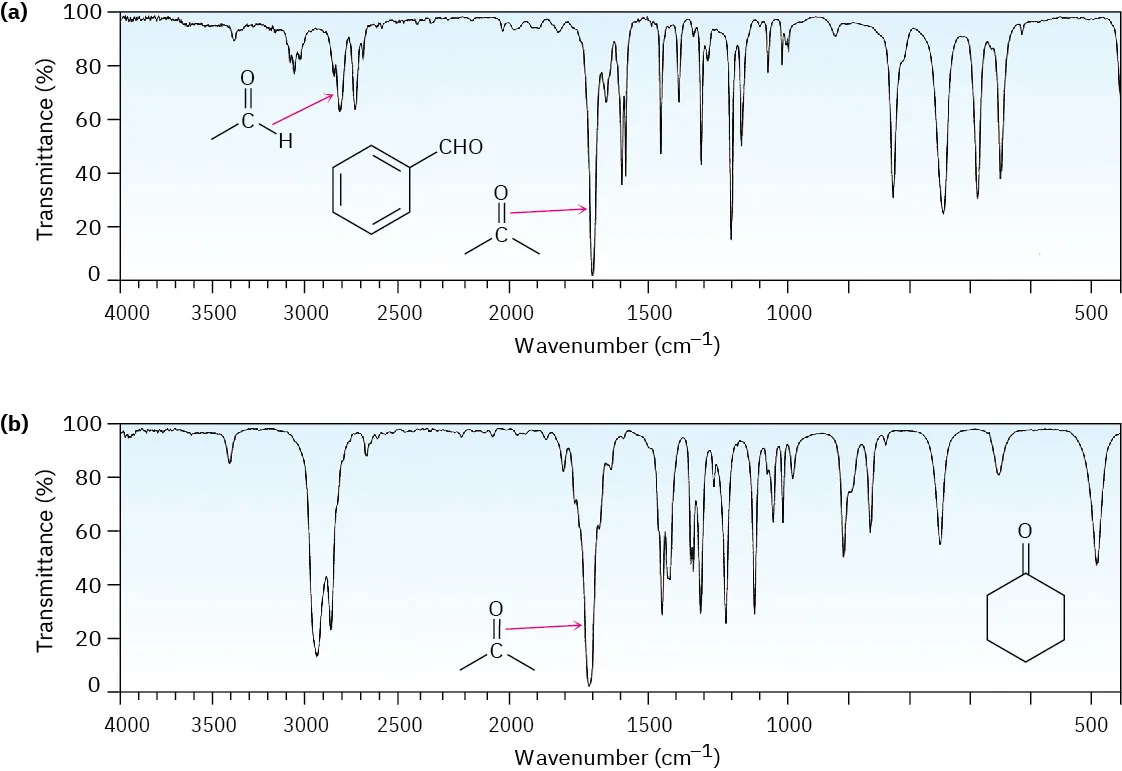 I R spectra of benzaldehyde with carbonyl peak at 1700 and aldehyde hydrogen peak around 2800, and of cyclohexanone with carbonyl peak around 1700 wavenumbers.