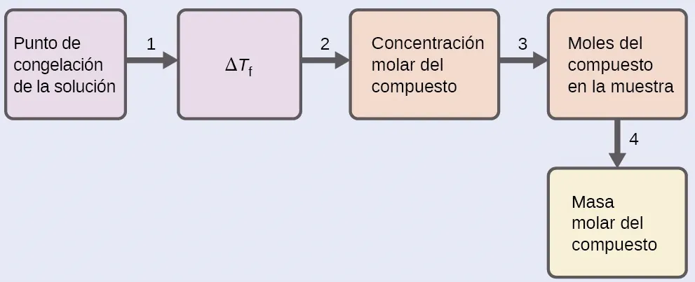 Este es un diagrama con cinco casillas orientadas horizontalmente y unidas entre sí con flechas numeradas del 1 al 4 que apuntan desde cada casilla sucesivamente a la siguiente a la derecha. La primera casilla está marcada como "Punto de congelación de la solución". La flecha 1 apunta desde esta casilla a una segunda marcada como "delta T subíndice f". La flecha 2 apunta desde esta casilla a una tercera marcada como "Concentración molal del compuesto". La flecha marcada como 3 apunta desde esta casilla a una cuarta marcada como "Moles de compuesto en la muestra". La flecha 4 señala una quinta casilla marcada como "Masa molar del compuesto".