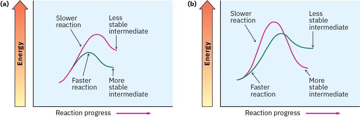 Energy diagram with two profiles; one has higher barrier, higher energy intermediate, is labeled slower. Another diagram with two profiles; one has higher barrier, lower energy intermediate, is labeled slower.