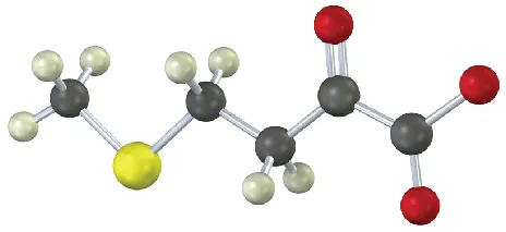 A ball-and-stick model of a five-carbon chain with a carboxylate anion at C 1, carbonyl at C 2, sulfur at C4, and a methyl group attached to S5.