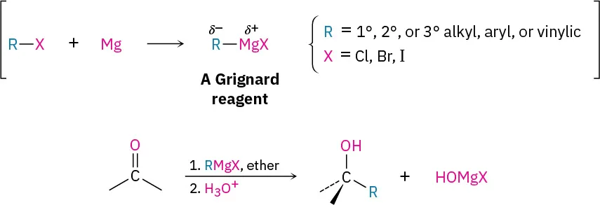 R X reacts with magnesium to form Grignard reagent with formula R (delta negative) Mg (delta positive) X. Ketone reacts with Grignard, then hydronium to give alcohol with R.