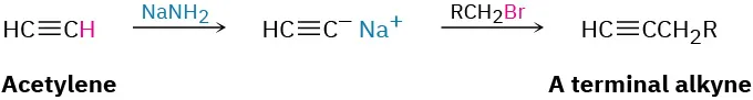 Acetylene reacts with sodium amide to produce sodium acetylide that further reacts with an alkyl bromide to give a terminal alkyne.