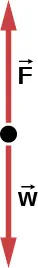 Un diagrama de cuerpo libre con la flecha F apunta hacia arriba y la flecha w apunta hacia abajo.