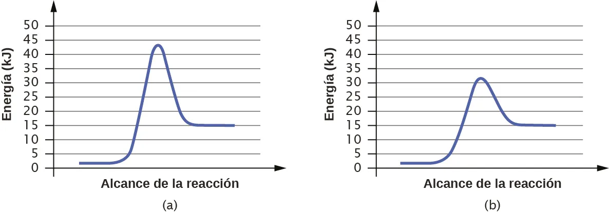 En esta figura se muestran dos gráficos. Los ejes de la x están etiquetados como "Extensión de la reacción" y los ejes de la y como "Energía". Los ejes de la y están marcados de 0 a 50 en intervalos de 5. En a, se muestra una curva azul. Comienza con una región horizontal en torno a 2. A continuación, la curva sube bruscamente cerca de la mitad para alcanzar un máximo de aproximadamente 43 y, del mismo modo, baja hasta otro segmento horizontal en 15. En b, la curva comienza y termina de forma similar, pero el máximo alcanzado cerca del centro del gráfico es solo de aproximadamente 32.
