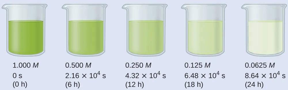 A diagram of 5 beakers is shown, each approximately half-filled with colored substances. Beneath each beaker are three rows of text. The first beaker contains a bright green substance and is labeled below as, “1.000 M, 0 s, and ( 0 h ).” The second beaker contains a slightly lighter green substance and is labeled below as, “0.500 M, 2.16 times 10 superscript 4 s, and ( 6 h ).” The third beaker contains an even lighter green substance and is labeled below as, “0.250 M, 4.32 times 10 superscript 4 s, and ( 12 h ).” The fourth beaker contains a green tinted substance and is labeled below as, “0.125 M, 6.48 times 10 superscript 4 s, and ( 18 h ).” The fifth beaker contains a colorless substance and is labeled below as, “0.0625 M, 8.64 times 10 superscript 4 s, and ( 24 h ).”