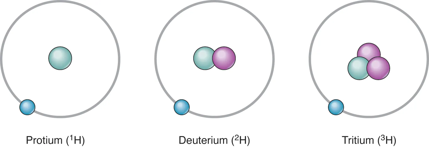 This figure shows the three isotopes of hydrogen: hydrogen, deuterium, and tritium.