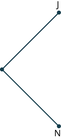 A tree diagram shows a node branching into two nodes labeled J and N.