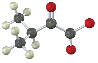 A ball-and-stick model of a four-carbon chain with carboxylate anion at C 1, a carbonyl group at C 2 , and a methyl group at C 3.