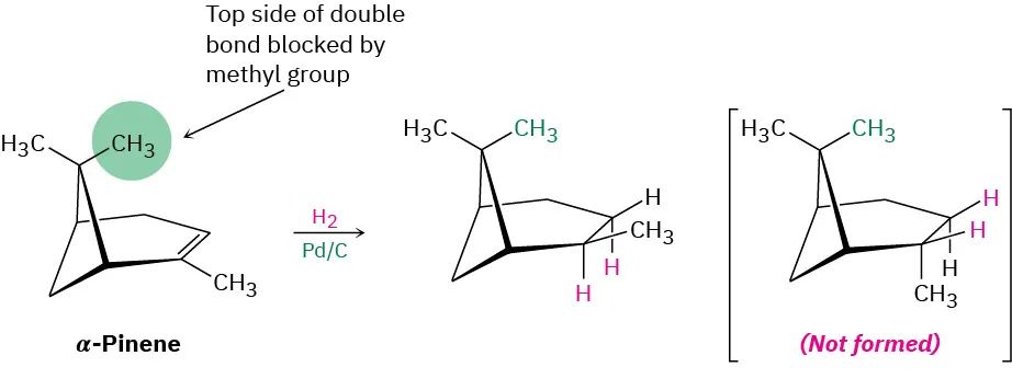 A reaction shows alpha-pinene reacting with hydrogen in the presence of palladium on carbon to form the endo-hydrogenated alkane. The structure of the not formed  exo-hydrogenated alkane is also depicted.