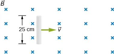 Rysunek przedstawia prostokątny obszar, w którym istnieje jednorodne pole magnetyczne o indukcji B – prostopadłe do płaszczyzny tegoż rysunku. Pole to zwrócone jest do płaszczyzny rysunku. Dłuższe boki obszaru tegoż pola są poziome. W obszarze tegoż pola, w pobliżu jego lewej granicy – znajduje się pionowy pręt o długości 25 centymetrów. Pęt porusza się w poziomie, ku prawej stronie rysunku, z prędkością v, której wektor zaznaczony jest na rysunku.