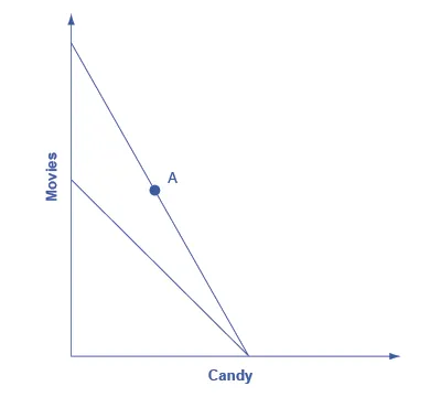 The graph matches the one from Step 1 with the addition of a second downward sloping line that intersects with the original line at the x-axis. The other endpoint of this new line is lower on the y-axis than the one from Step 1.