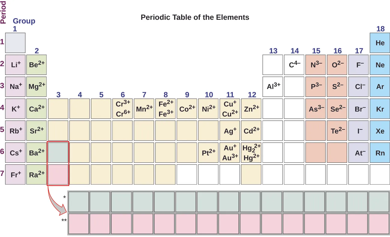 Group one of the periodic table contains L i superscript plus sign in period 2, N a superscript plus sign in period 3, K superscript plus sign in period 4, R b superscript plus sign in period 5, C s superscript plus sign in period 6, and F r superscript plus sign in period 7. Group two contains B e superscript 2 plus sign in period 2, M g superscript 2 plus sign in period 3, C a superscript 2 plus sign in period 4, S r superscript 2 plus sign in period 5, B a superscript 2 plus sign in period 6, and R a superscript 2 plus sign in period 7. Group six contains C r superscript 3 plus sign and C r superscript 6 plus sign in period 4. Group seven contains M n superscript 2 plus sign in period 4. Group eight contains F e superscript 2 plus sign and F e superscript 3 plus sign in period 4. Group nine contains C o superscript 2 plus sign in period 4. Group ten contains N i superscript 2 plus sign in period 4, and P t superscript 2 plus sign in period 6. Group 11 contains C U superscript plus sign and C U superscript 2 plus sign in period 4, A g superscript plus sign in period 5, and A u superscript plus sign and A u superscript 3 plus sign in period 6. Group 12 contains Z n superscript 2 plus sign in period 4, C d superscript 2 plus sign in period 5, and H g subscript 2 superscript 2 plus sign and H g superscript 2 plus sign in period 6. Group 13 contains A l superscript 3 plus sign in period 3. Group 14 contains C superscript 4 negative sign in period 2. Group 15 contains N superscript 3 negative sign in period 2, P superscript 3 negative sign in period 3, and A s superscript 3 negative sign in period 4. Group 16 contains O superscript 2 negative sign in period 2, S superscript 2 negative sign in period 3, S e superscript 2 negative sign in period 4 and T e superscript 2 negative sign in period 5. Group 17 contains F superscript negative sign in period 2, C l superscript negative sign in period 3, B r superscript negative sign in period 4, I superscript negative sign in period 5, and A t superscript negative sign in period 6. Group 18 contains H e in period 1, N e in period 2, A r in period 3, K r in period 4, X e in period 5 and R n in period 6.