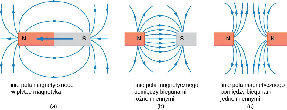 Ilustracja linii sił pola magnetycznego w trzech konfiguracjach. Rysunek a przedstawia sztabkę magnesu z biegunem północnym i południowym. Linie sił wychodzą z bieguna północnego i zakrzywiając się docierają ostatecznie do bieguna południowego. Rysunek b pokazuje bieguny rozdzielone szczeliną. Linie sił znowu wychodzą z bieguna północnego, wykrzywiają się i dochodzą do bieguna południowego. Linie są gęste w szczelinie i mniej gęste poza nią. Rysunek c przedstawia dwa bieguny północne oddzielone od siebie szczeliną. Linie sił wychodzą z obydwu biegunów i wykrzywiają się na zewnątrz. Linie wychodząc poza bieguny odpychają się wzajemnie.