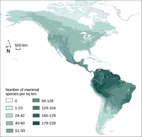Map shows the special distribution of mammal species richness in North and South America. The highest number of mammal species, 179-228 per square kilometer, occurs in the Amazon region of South America. Species richness is generally highest in tropical latitudes, and then decreases to the north and south, with very few species in the Arctic regions.