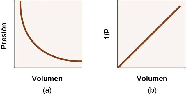 Este diagrama muestra dos gráficos. En a, se muestra un gráfico con el volumen en el eje horizontal y la presión en el eje vertical. En el gráfico aparece una línea curva que muestra una tendencia decreciente con una tasa de cambio decreciente. En b, se muestra un gráfico con el volumen en el eje horizontal y uno dividido por la presión en el eje vertical. Un segmento de línea, que comienza en el origen del gráfico, muestra una tendencia positiva y lineal.