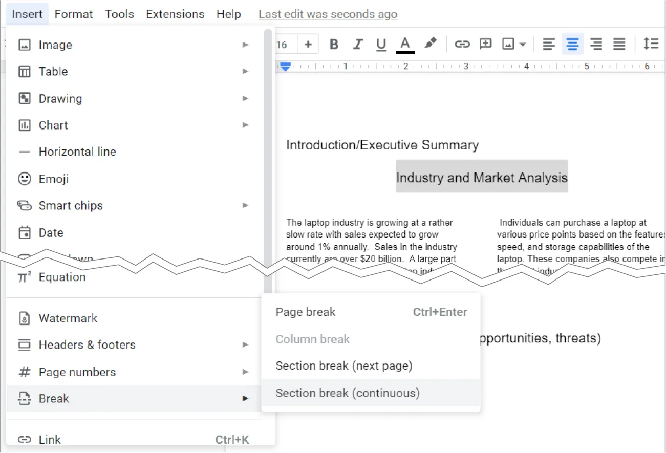 Insert is selected, then Break is selected and opens to options for: Page break, Column break, Section break (next page), and Section break (continuous.)
